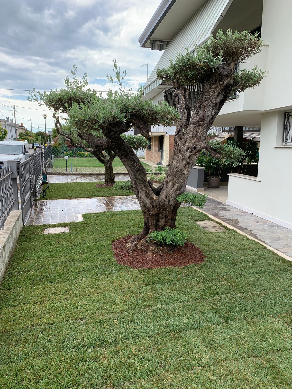 Realizzazione giardino privato Dosson di Casier