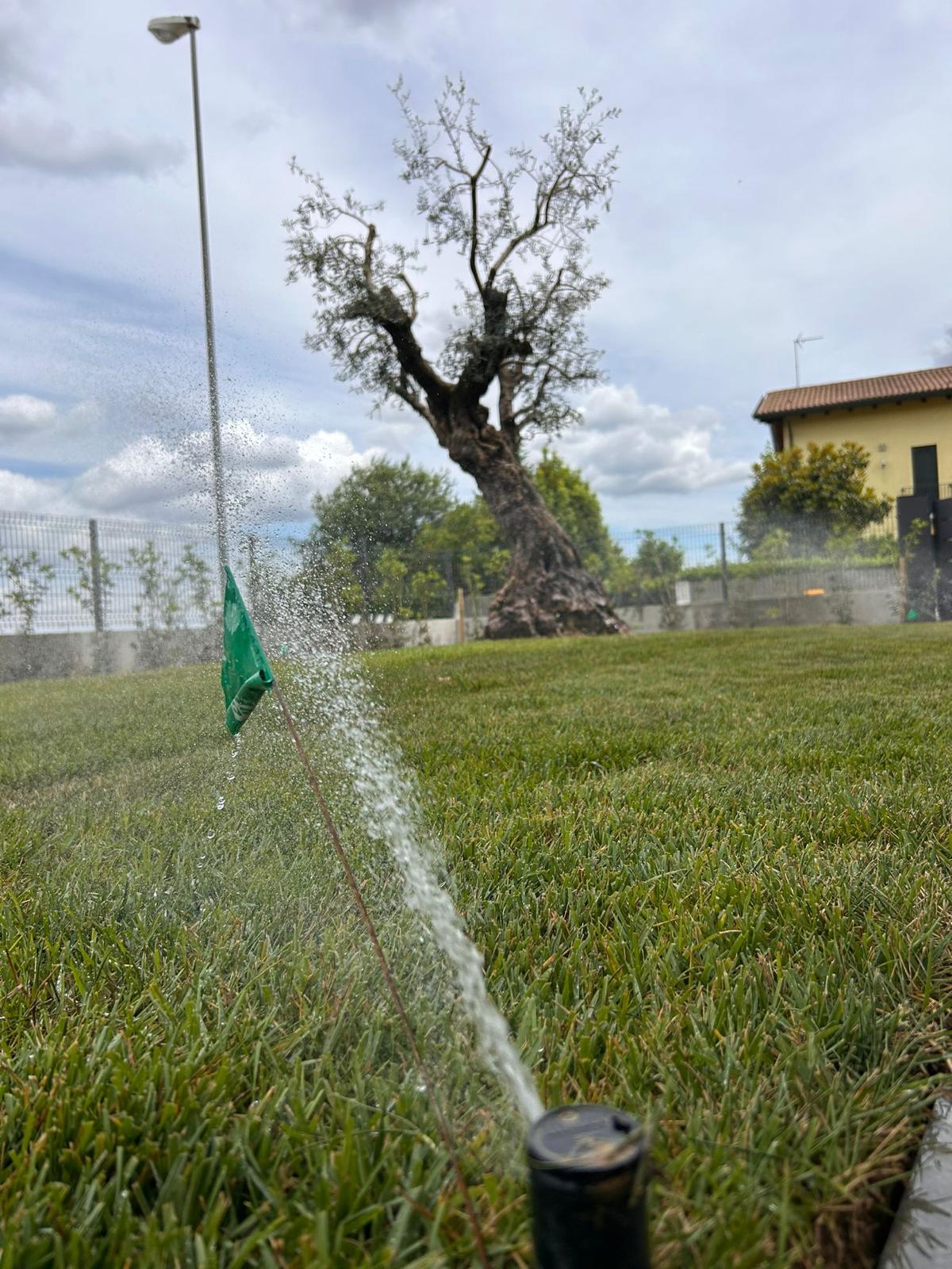realizzazione giardino con impianto di irrigazione a Sant'Angelo, Treviso